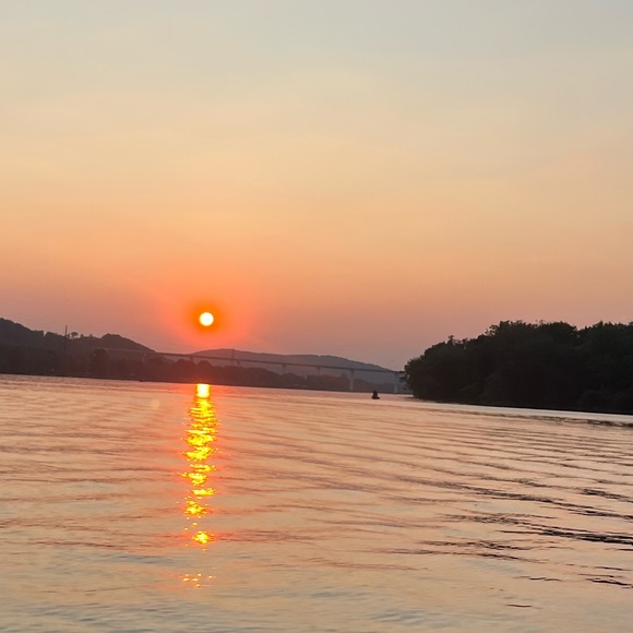 Meet your Posher, Chloe - Picture 1 of 1